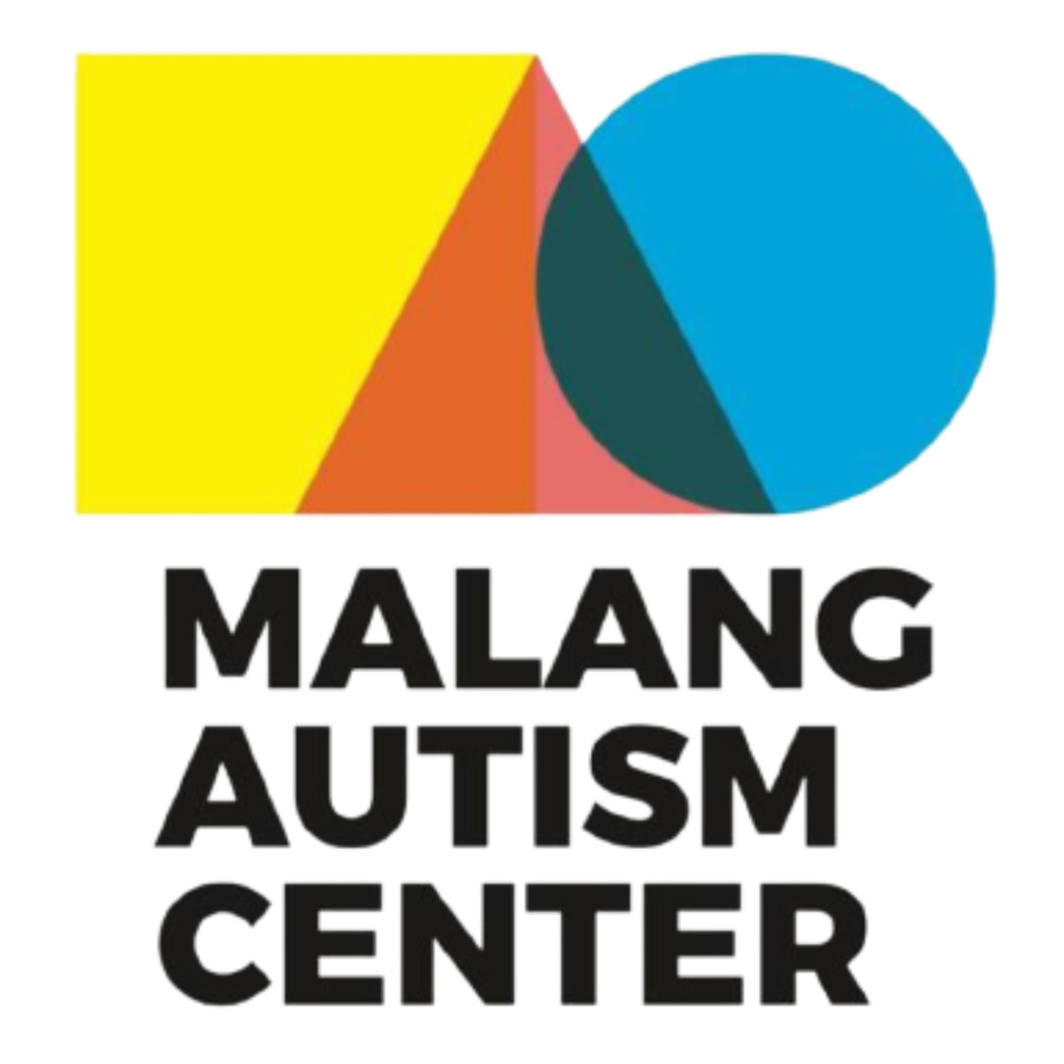 tentang-mac-malang-autism-center